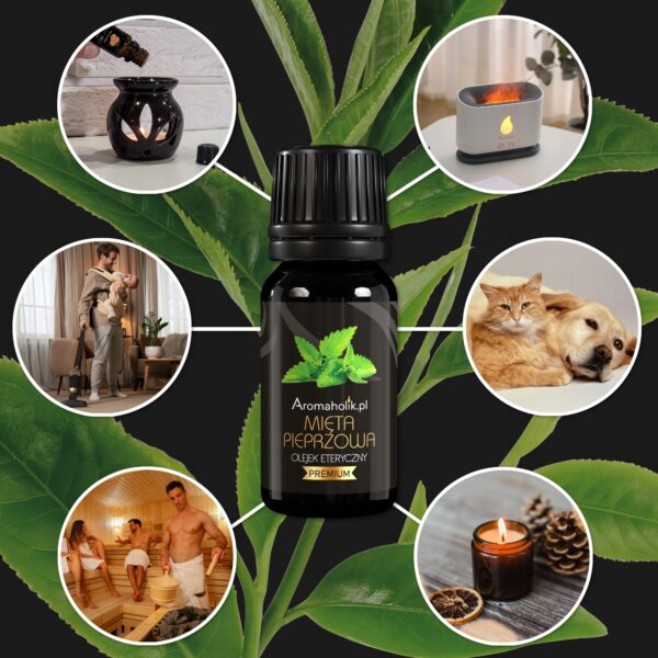 Naturalny Olejek Eteryczny MIĘTA PIEPRZOWA 10ml - Aromaholik - obrazek 2