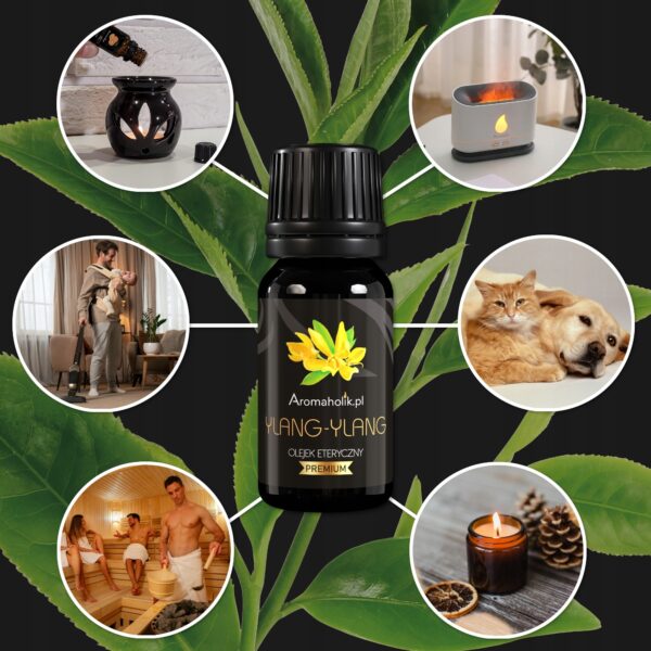 Naturalny Olejek Eteryczny YLANG-YLANG 10ml - Aromaholik - obrazek 2