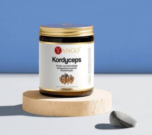 6095b56ed081c557c6c35438eb3dee9d