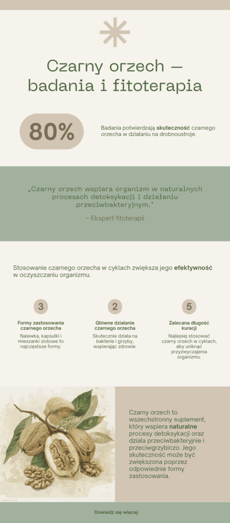 Infografika - Czarny orzech – badania i fitoterapia