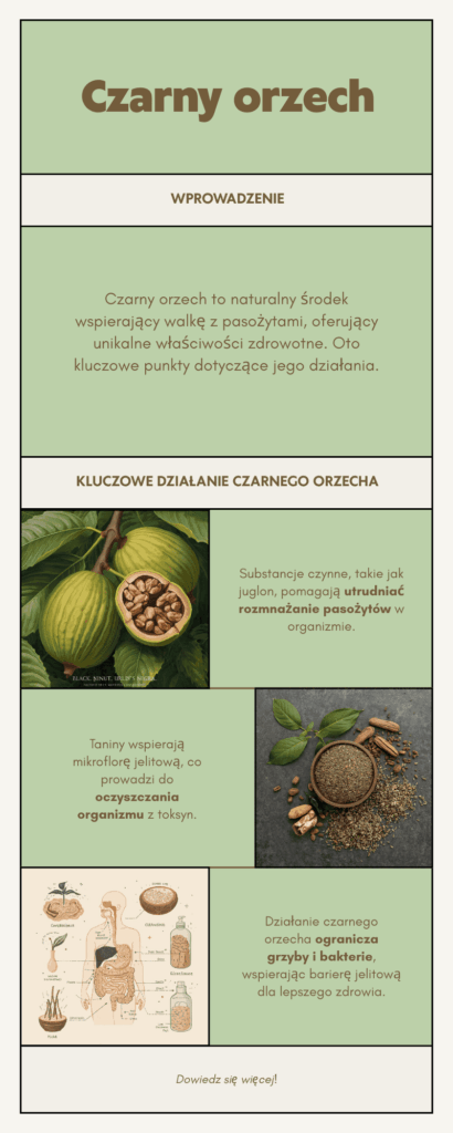 Informacje o czarnym orzechu zdrowotnym