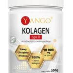 Yango Kolagen Typ II Stawy 300 g