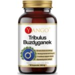 Tribulus Buzdyganek 90 kaps. Yango