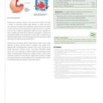 Tabletki na spalanie tłuszczu 30 szt. Physalis - zdjęcie 4