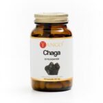 CHAGA 440 mg 90 kaps. Yango