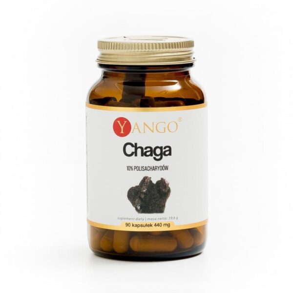Chaga 440 mg 90 kaps. Yango