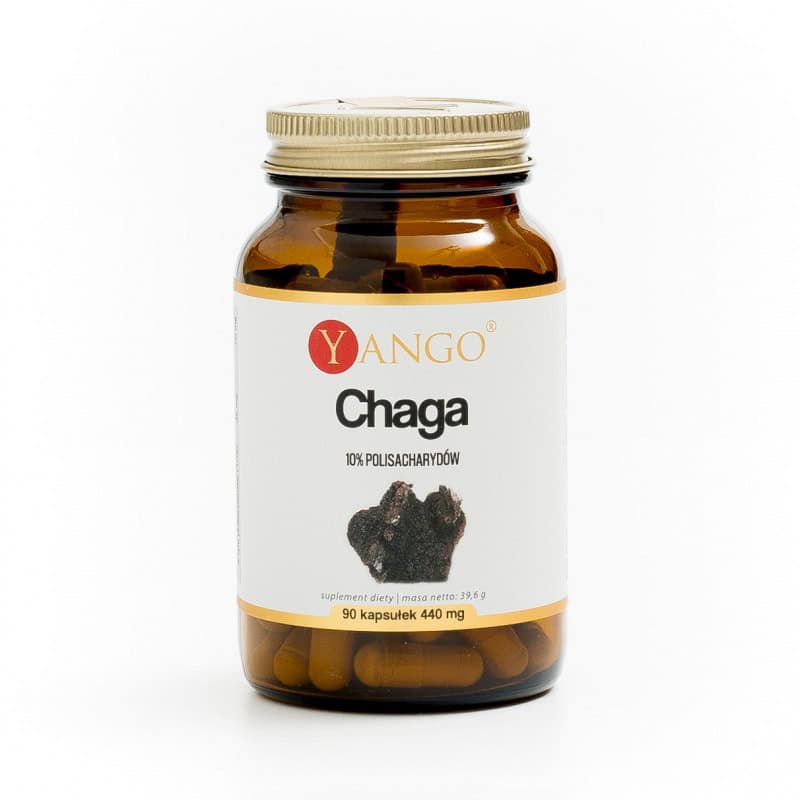 CHAGA 440 mg 90 kaps. Yango