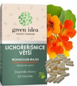 8a55c9f4f04b2ba9572810bec565bb19