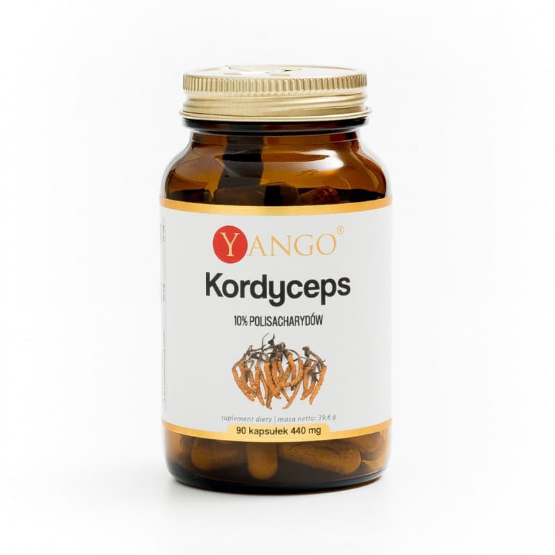Kordyceps – ekstrakt 10% 90 kaps. Yango