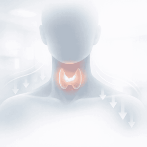 Schemat tarczycy zaznaczonej na szyi – niedoczynność tarczycy, zaburzenia hormonalne i spowolnienie metabolizmu