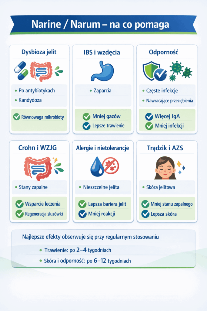 Narine Narum – na co pomaga probiotyk Er-2 – IBS, dysbioza jelit, odporność