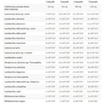 Białe Mumio Acidofilne 250 mg 60 kaps. - zdjęcie 2