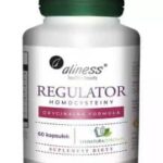 Regulator Homocysteiny 60 kaps. Aliness