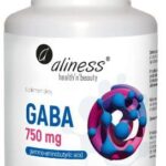 GABA 100 tabl. Aliness
