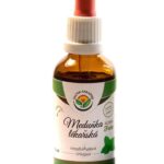 Melisa lekarska b/alkoholowe 50 ml Salvia Paradise