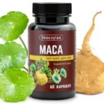 Maca żeń-szeń Gotu Kola 60 kaps. Skoczylas - zdjęcie 2