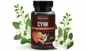 Cynk 3 formy miedź EGCG Skoczylas 60 kaps.