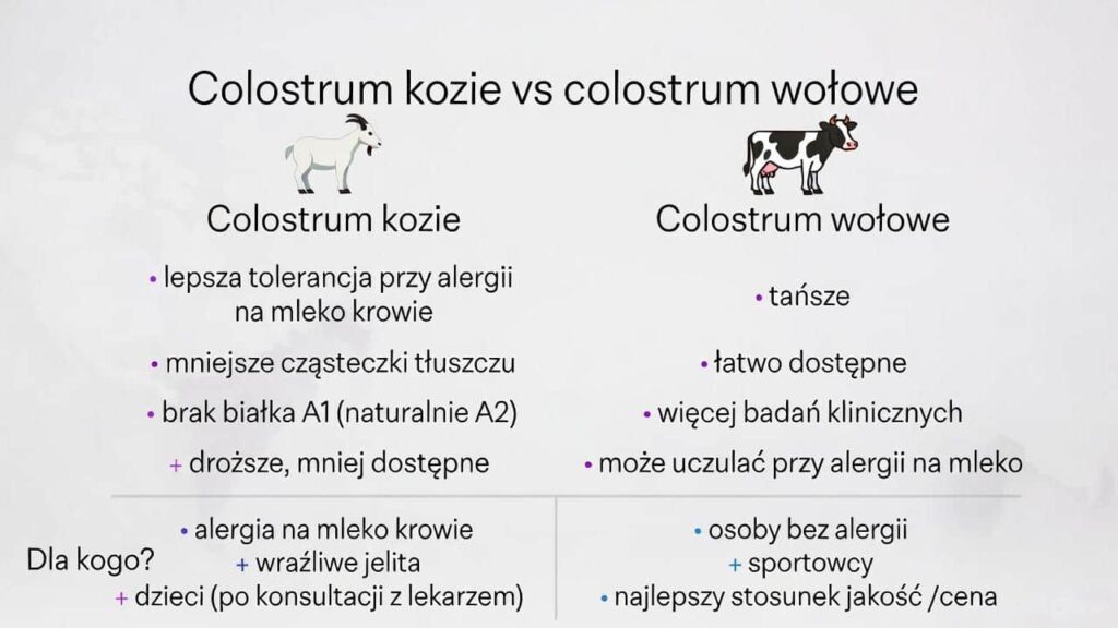 Colostrum kozie vs colostrum wołowe – porównanie tolerancji, składu i zastosowania