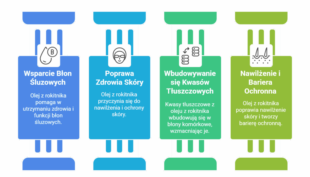 Infografika pokazująca wpływ oleju z rokitnika na skórę i błony śluzowe