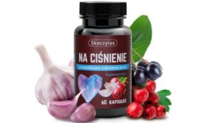 758a5c3db1218012ed1dd2693fc52798