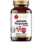 JEŻÓWKA PURPUROWA 60kaps. YANGO