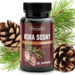 KORA SOSNY Z ARGININĄ 60kaps. SKOCZYLAS