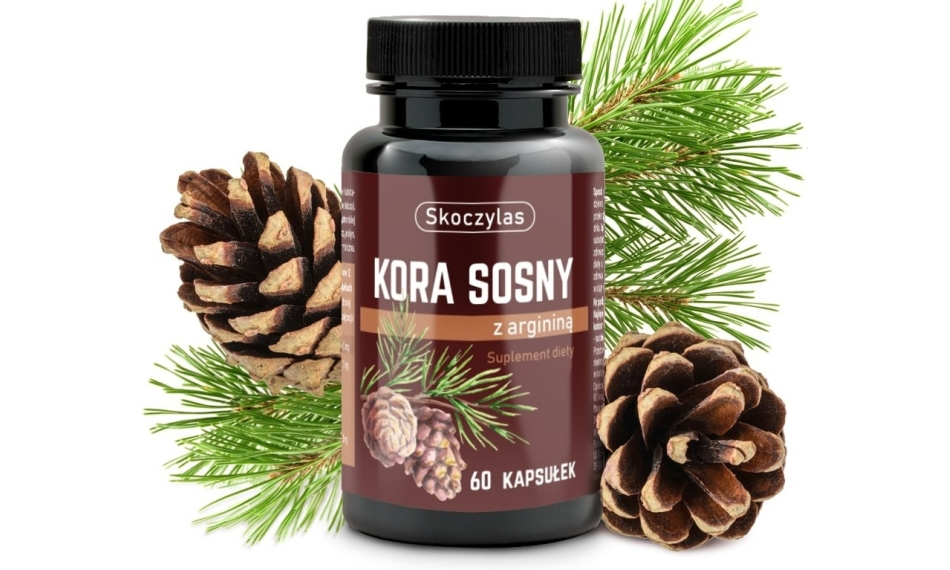 KORA SOSNY Z ARGININĄ 60kaps. SKOCZYLAS
