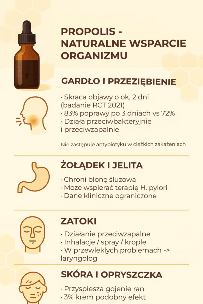 Propolis – naturalne wsparcie na gardło, jelita, zatoki i skórę (infografika zastosowań)