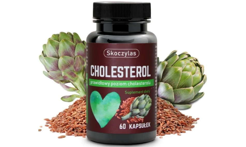 CHOLESTEROL 60kap.  Skoczylas