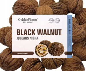 dbfd2f11a8bfa2b2f86382407d212196