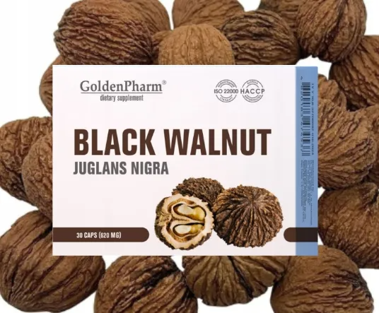 Czarny Orzech Juglans nigra GoldenPharm 30 kaps.