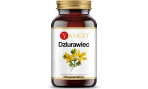 2ad5815025d4f92f50237cecc0828112