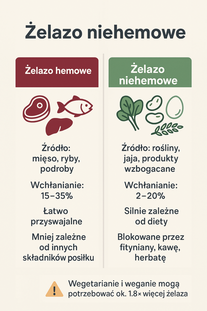 Niedobór żelaza – objawy, badanie ferrytyny i jak skutecznie uzupełnić poziom? 2 Żelazo hemowe i niehemowe – różnice we wchłanianiu i źródła w diecie
