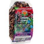 NATURA-WITA Herbatka Leśne Czary 100 g