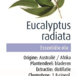 Olejek Eteryczny Eukaliptus Aust BIO 10 ml Physalis