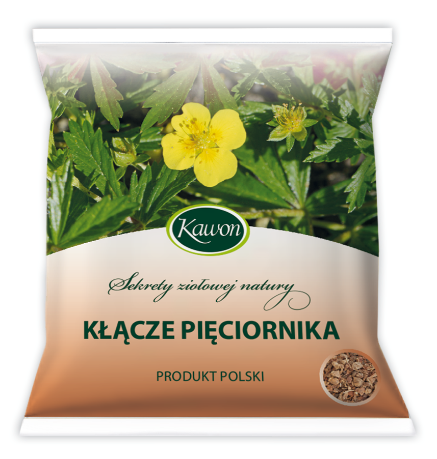 Pięciornik Kłącze 50 g Kawon