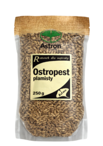 29a9db5e8b12f51be9bc7e4402de4a23