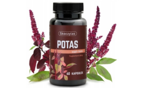 00a5331de0380c1ae955707029d53c8e