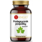 Yango Podagrycznik Pospolity Ekstrakt 10:1 90kapsułek