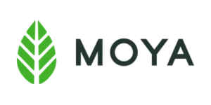 Moya Matcha