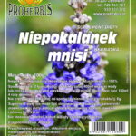 Niepokalanek mnisi (pieprzowy) – nasiona, 100 g Proherbis